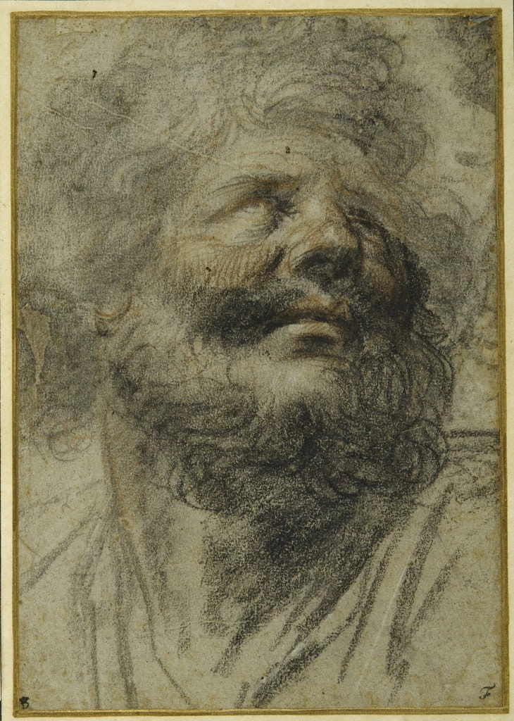 Testa di uomo barbuto - The Devonshire Collections, Chatsworth